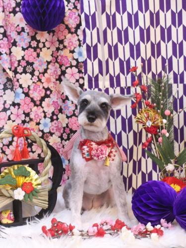 20250105コーラちゃん